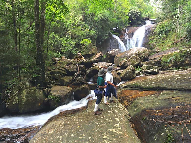 Sinharaja Rain Forest UNESCO Walk and Bird Watching Day Tour