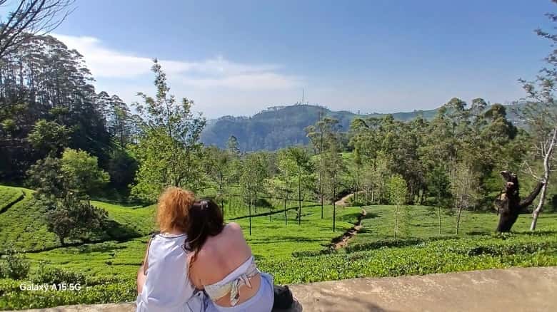 Ella: 9 Arches Bridge, Little Adam's Peak, Tea Factory